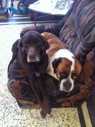 20130114-Skol  Kid(1)