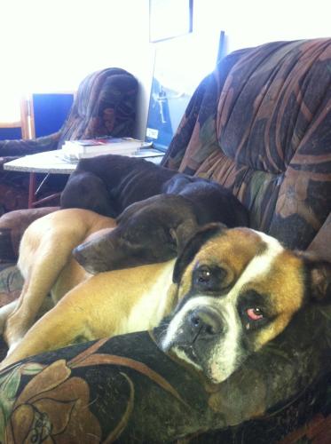 20130114-Skol  Kid(2)