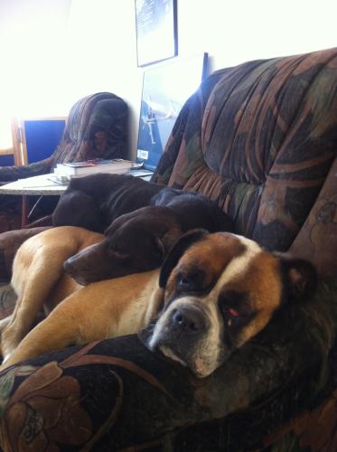 20130114-Skol  Kid(3)