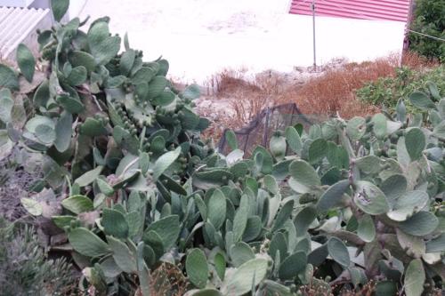 20140620-Paleochora (11)