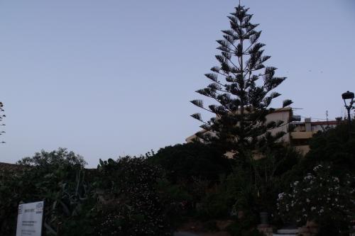 20140625-Chania (27)