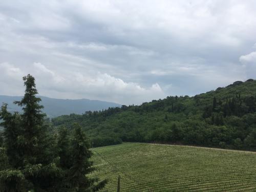 2018 CastelloDiVerrazzano 1