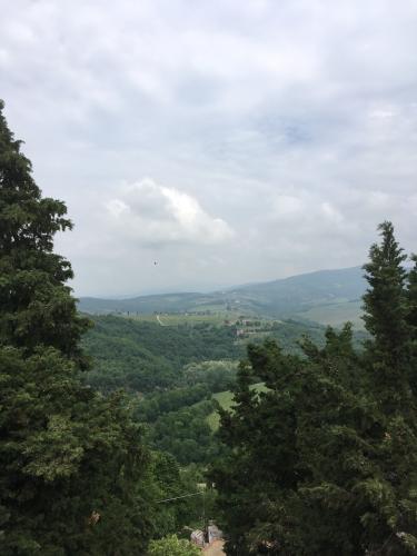 2018 CastelloDiVerrazzano 3