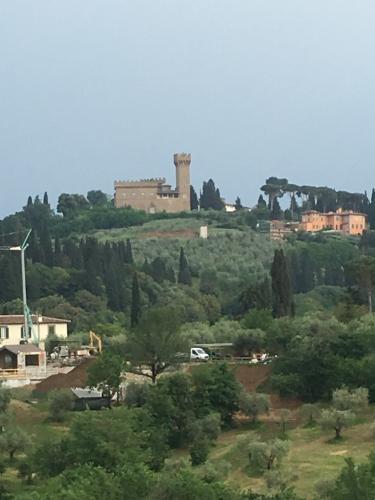 2018 Florenta PalazoPittiBoboli 17