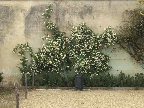 2018 Florenta PalazoPittiBoboli 18