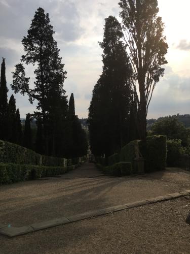 2018 Florenta PalazoPittiBoboli 23