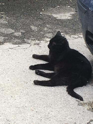 2018 SanGimignano 09