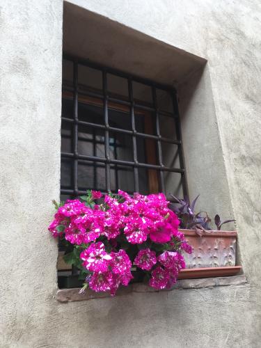 2018 SanGimignano 11