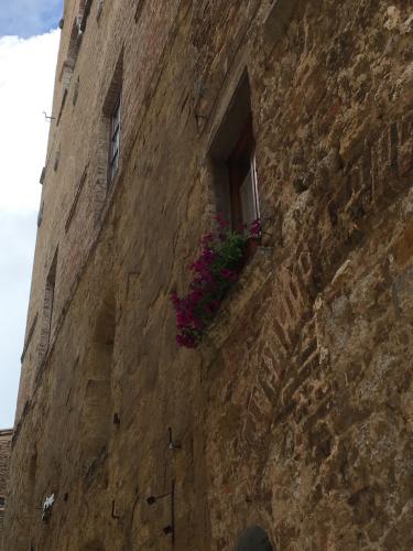 2018 SanGimignano 14