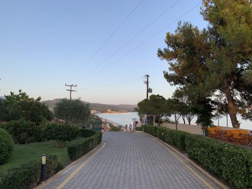 2019-THASSOS-Iris Gold-01