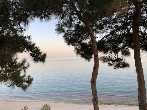 2019-THASSOS-Iris Gold-03