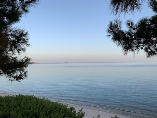 2019-THASSOS-Iris Gold-04