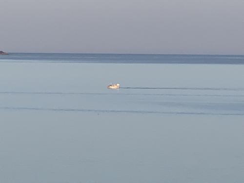 2019-THASSOS-Iris Gold-06