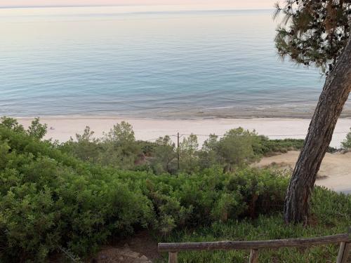 2019-THASSOS-Iris Gold-08