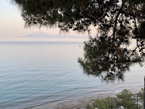 2019-THASSOS-Iris Gold-09