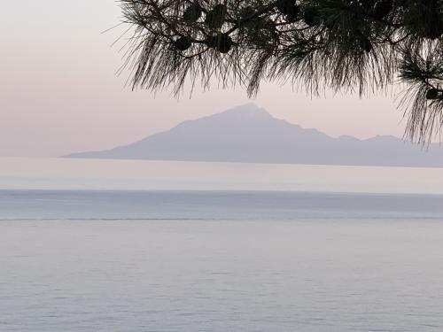 2019-THASSOS-Iris Gold-10