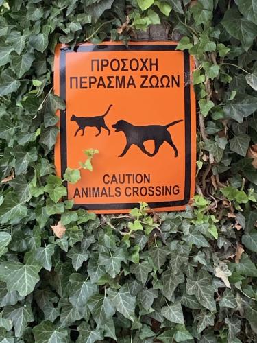 2019-THASSOS-Kazaviti-00