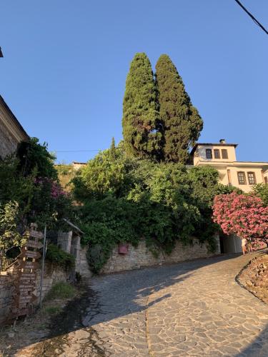 2019-THASSOS-Kazaviti-09