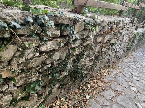 2019-THASSOS-Kazaviti-16