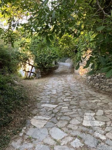 2019-THASSOS-Kazaviti-32