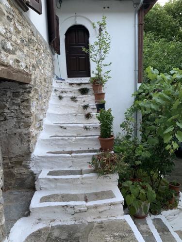 2019-THASSOS-Kazaviti-34