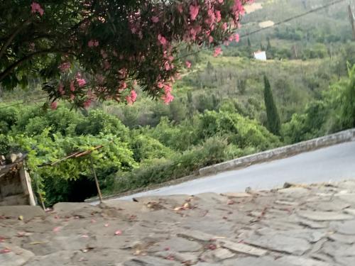 2019-THASSOS-Kazaviti-37