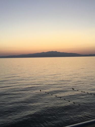 2019-THASSOS-Pensiunea(12)