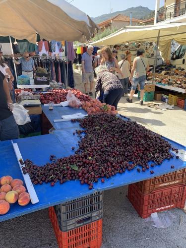 2019-THASSOS-Prinos(01)