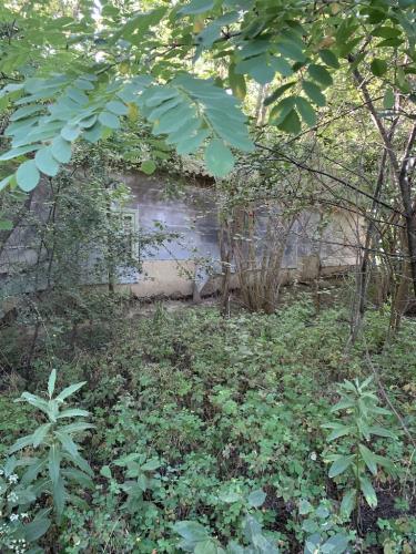 20200628-Delta-Paradis-la-GORGOVA-19