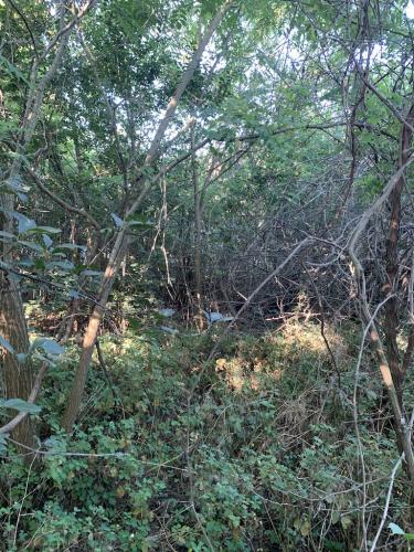 20200628-Delta-Paradis-la-GORGOVA-20