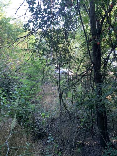 20200628-Delta-Paradis-la-GORGOVA-21