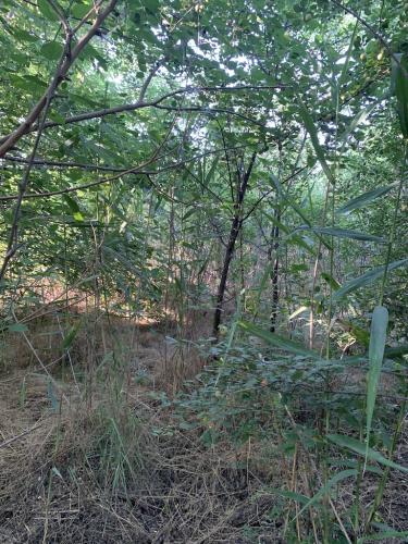 20200628-Delta-Paradis-la-GORGOVA-23