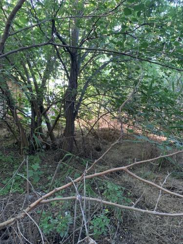 20200628-Delta-Paradis-la-GORGOVA-24