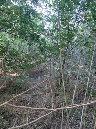 20200628-Delta-Paradis-la-GORGOVA-25