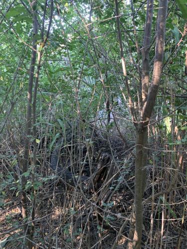 20200628-Delta-Paradis-la-GORGOVA-26