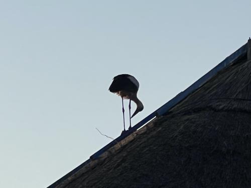 20220715-Recompensa-1