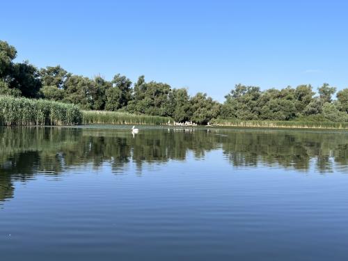 20220715-Recompensa-2