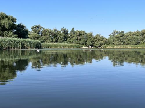 20220715-Recompensa-3