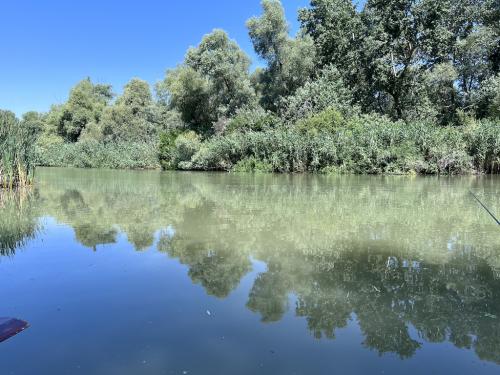 20220715-Recompensa-5