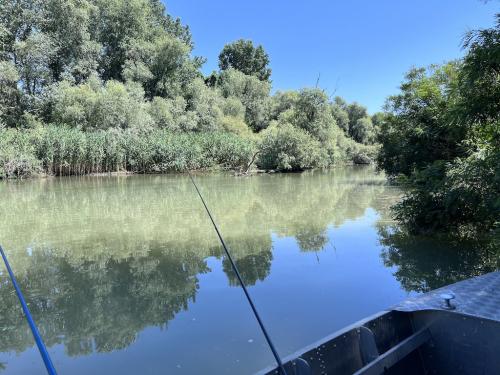 20220715-Recompensa-6