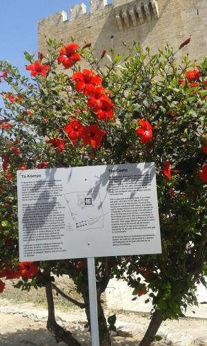 Cipru-KolosiCastle01