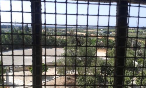 Cipru-KolosiCastle03