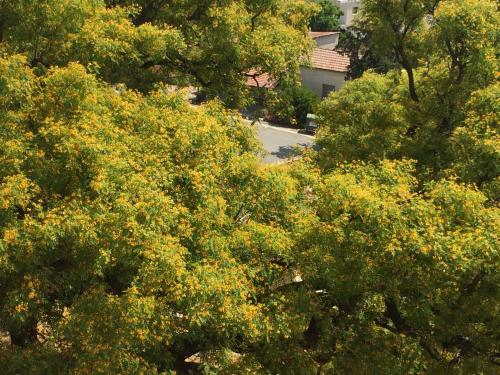 Cipru-KolosiCastle37