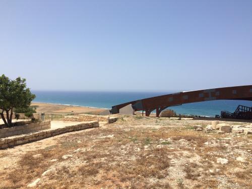 Cipru-Kourion79