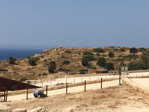 Cipru-Kourion81