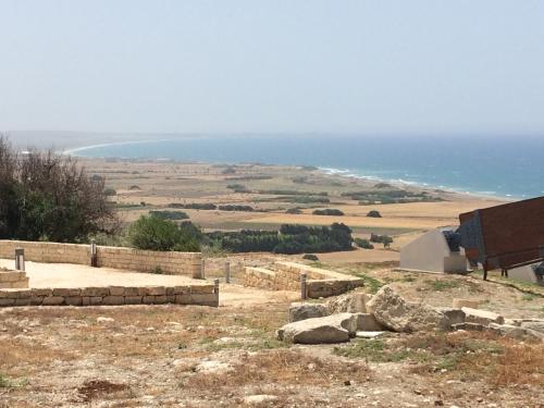 Cipru-Kourion82