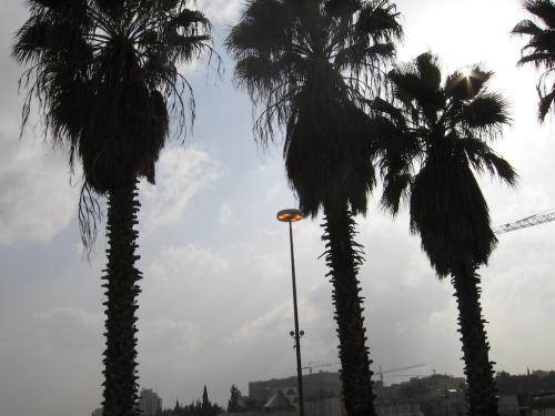 ISRAEL-Pe drumuri (01)