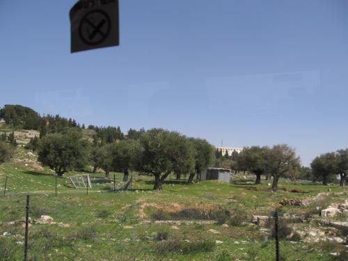 ISRAEL-Pe drumuri (25)