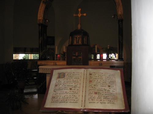 La biserica Sf Petre (5)