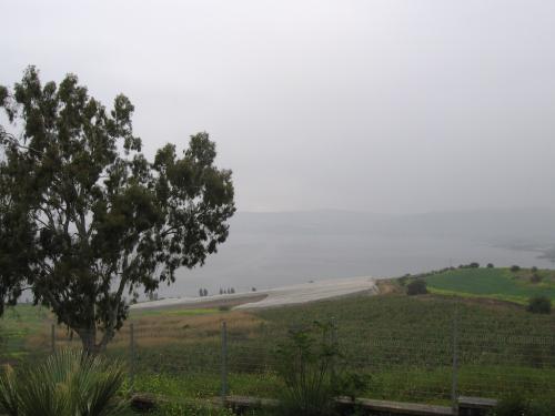 La biserica Sf Petre (7)